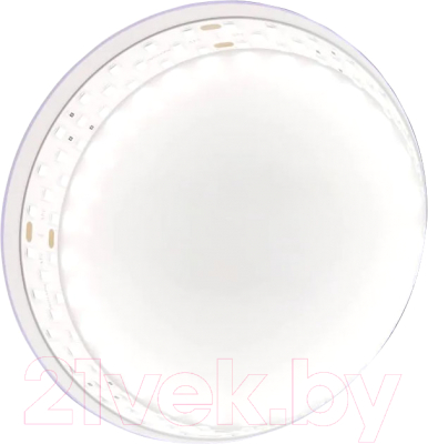 Изображение товара Светодиодная лента Maytoni Led Strip 24В / 20033 (белый)