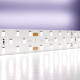Миниатюра изображения товара Светодиодная лента Maytoni Led Strip 24В / 20033 (белый)