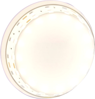 

Светодиодная лента, Led Strip 24В / 20035