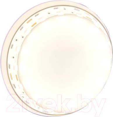 Изображение товара Светодиодная лента Maytoni Led Strip 24В / 20035 (белый)