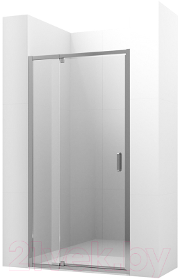 Душевая дверь Ambassador Elysium 80x200 / 111021102KX