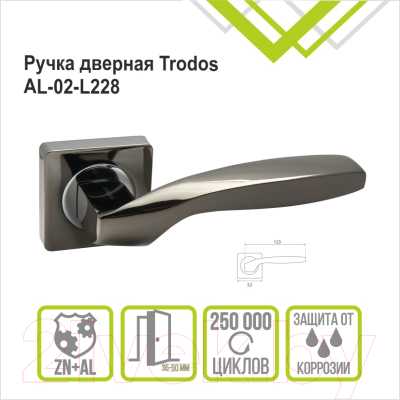 Ручка дверная Trodos AL-02-L228 (черный никель)