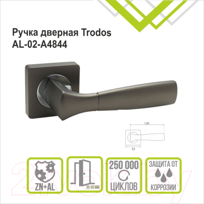 Ручка дверная Trodos AL-02-A4844 (графит)