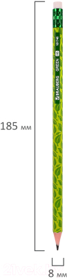 Набор простых карандашей Brauberg Green / 880761 (72шт)