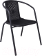 Кресло садовое AksHome Verona PP (черный/сталь черная) - 