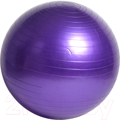 Фитбол гладкий Sabriasport 65J (фиолетовый)
