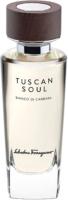 Туалетная вода Salvatore Ferragamo Tuscan Soul Bianco Di Carrara (75мл) - 