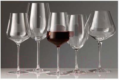 Набор бокалов Stolzle Bordeaux UniversalFlare 1500035-2 (650мл, 2шт)