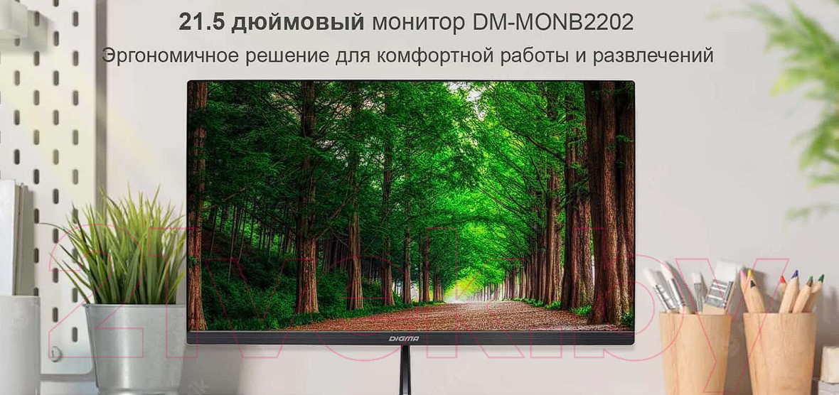 Монитор Digma DM-MONB2202