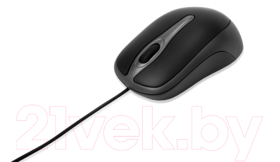 Мышь Verbatim Optical Desktop Mouse 49019 (черный)