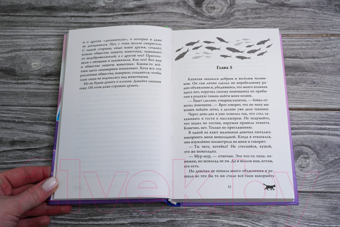 Художественная книга АСТ Корабельные приключения кота Сократа (Самарский М.А.) — фото 4