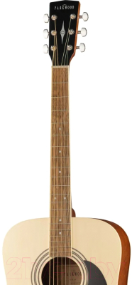 Электроакустическая гитара Parkwood W81E-WBAG-OP (с чехлом)