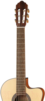 Электроакустическая гитара Parkwood PC110-WBAG-OP (с чехлом)