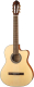 Электроакустическая гитара Parkwood PC110-WBAG-OP (с чехлом) - 