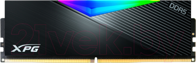 Оперативная память DDR5 A-data AX5U5600C3632G-DCLARBK
