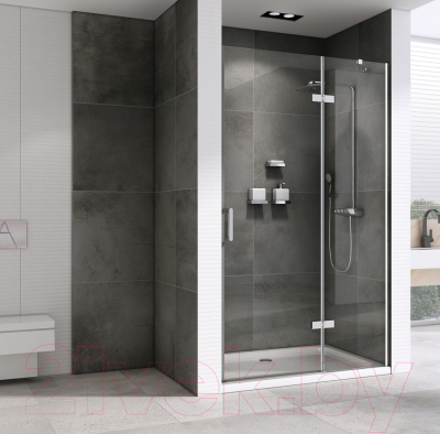 Купить Душевая дверь Abber Zart AG08100 в Гомеле