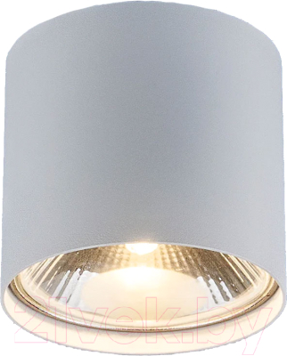 Точечный светильник Elektrostandard 6872 (белый)