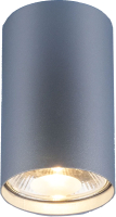 Точечный светильник Elektrostandard 6877 SL (серебристый) - 