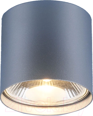 Точечный светильник Elektrostandard 6876 SL (серебристый)