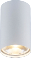 Точечный светильник Elektrostandard 6873 SL (белый) - 