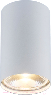 Точечный светильник Elektrostandard 6873 SL (белый)
