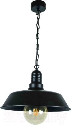 Потолочный светильник Decora Industrial 12400