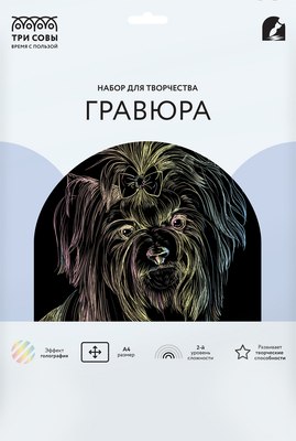 Гравюра Три совы Йорк / GA4_48291 - 