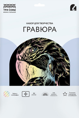 Гравюра Три совы Попугай / GA4_48294 - 