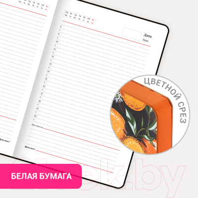 Ежедневник Brauberg Orange Story / 112018