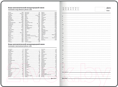 Ежедневник Brauberg Офис / 114554