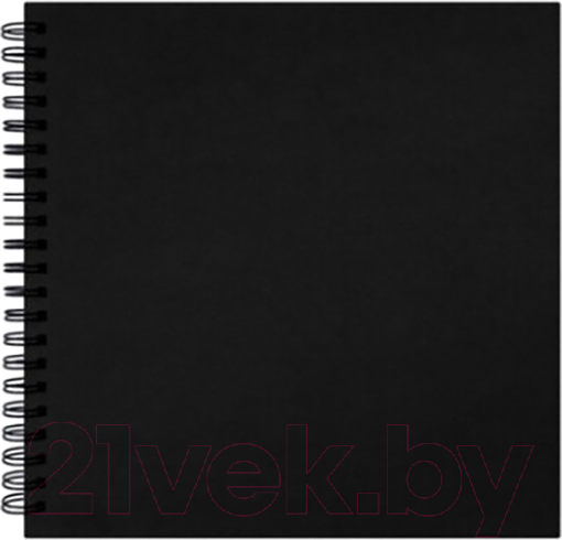 Скетчбук Brauberg Art Classic / 115081 (черный)