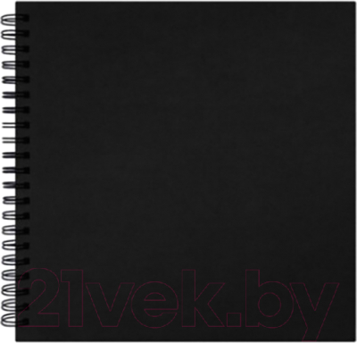 Скетчбук Brauberg Art Classic / 115081 (черный)