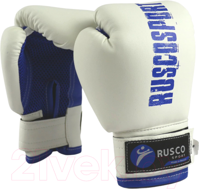 Боксерские перчатки RuscoSport 6oz (бело-синий)
