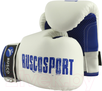 Боксерские перчатки RuscoSport 6oz (бело-синий)
