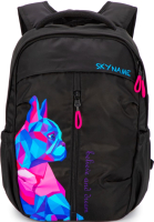 

Школьный рюкзак Sky Name, 60-25