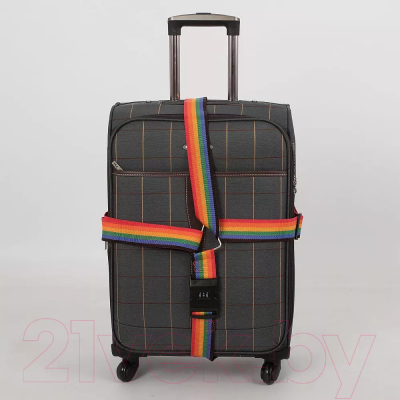 Изображение товара Ремень багажный Grott 351-DBC-2-CLR