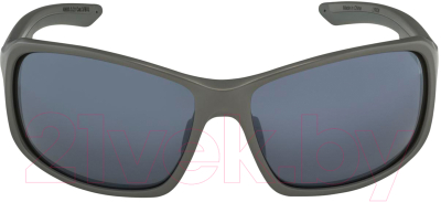 Очки солнцезащитные Alpina Sports Lyron / A86303-21 (Moon/серый матовый)