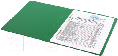 Папка для бумаг Brauberg 228339 (зеленый)
