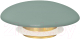 Миниатюра изображения товара Заглушка для умывальника Abber AC0014MCG (светло-зеленый матовый)