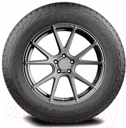 Летняя шина Antares Majoris R1 225/65R17 102S