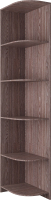 Угловое окончание для шкафа Артём-Мебель СН 118.05 (ясень анкор темный) - 