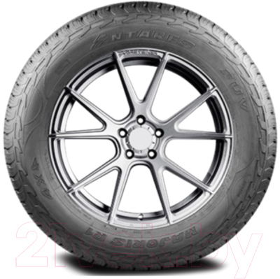 Летняя шина Antares Majoris R1 255/60R18 112H