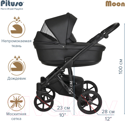 Детская универсальная коляска Pituso Moon 2 в 1 / M020 (черный)