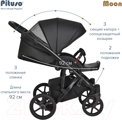 Детская универсальная коляска Pituso Moon 2 в 1 / M020 (черный)