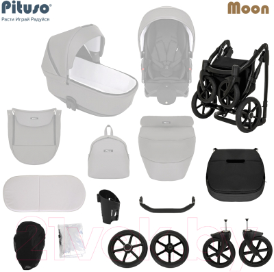 Детская универсальная коляска Pituso Moon 2 в 1 / M020 (черный)