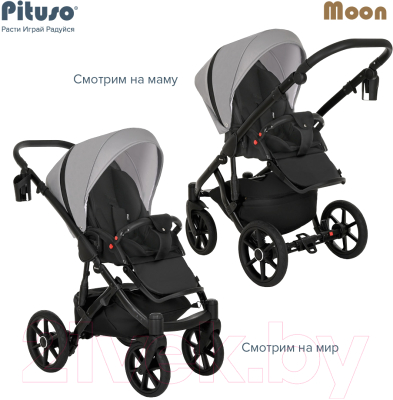 Детская универсальная коляска Pituso Moon 2 в 1 / M01 (черный)