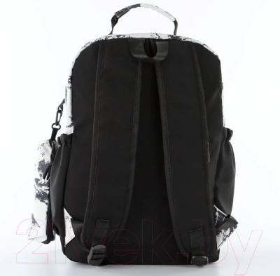Изображение товара Рюкзак Ecotope 377-4421-BLK (черный)