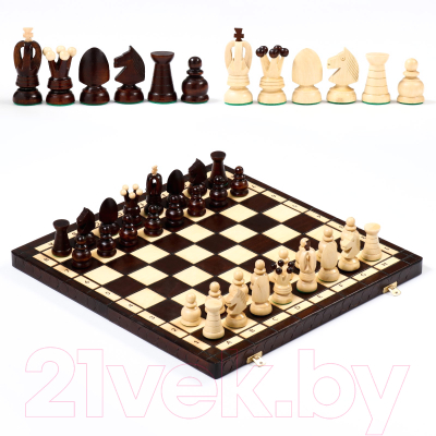 Шахматы Sima-Land Королевские 4963444