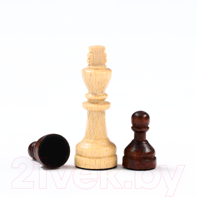 Шахматы Sima-Land 4963450