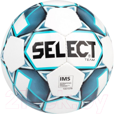 Футбольный мяч Select Team Basic V23 / 0865546002-002 (размер 5, белый/синий)